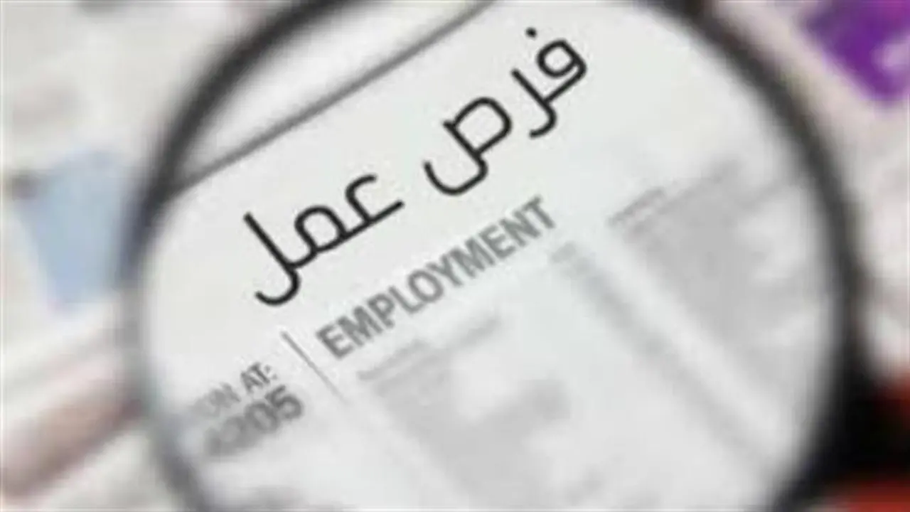 رواتب تصل 20 ألف.. شروط التقديم لفرص العمل الجديدة